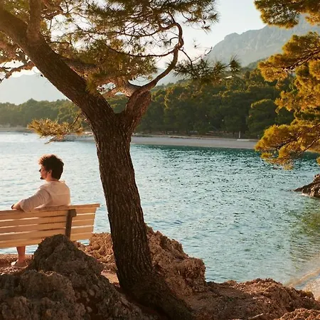 蓝日索林酒店 酒店 4*