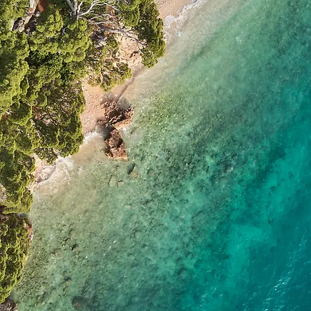 蓝日索林酒店 布雷拉