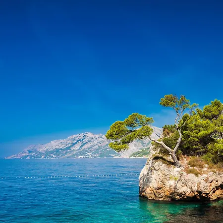 蓝日索林酒店 酒店 布雷拉