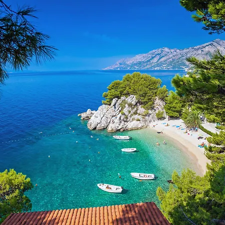 Hotel Bluesun Soline Brela