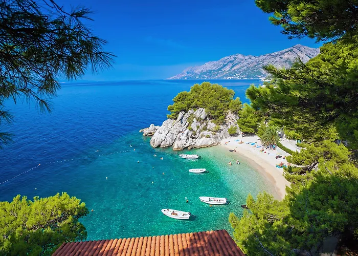 Hotel Bluesun Soline Brela