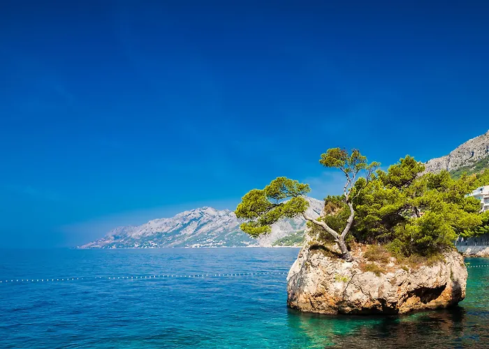 Bluesun Soline Hotel Brela